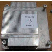 Радиатор CPU CX2WM для Dell PowerEdge C1100 CN-0CX2WM CPU Cooling Heatsink (Каспийск)