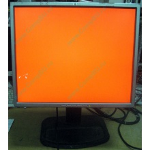 Монитор 19" TFT HP 1955 (DVI в Каспийске, USB-хаб) "квадратный" (Каспийск)