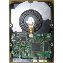 HDD Sun 500G 500Gb в Каспийске, FRU 540-7889-01 в Каспийске, BASE 390-0383-04 в Каспийске, AssyID 0069FMT-1010 в Каспийске, HUA7250SBSUN500G (Каспийск)