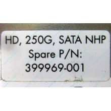 HP 250G 7.2k 432337-001/ 399699-001 / 397377-004 SATA HDD (Каспийск)