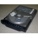 Жесткий диск 18.4Gb Quantum Atlas 10K III U160 SCSI (Каспийск)