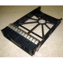 3.5" заглушки для серверов HP (Каспийск)