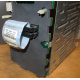 HP 365664-001 кабель SCSI для корзины 373108-001 / 359719-001 HP ML370G4 (Каспийск)