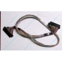 6017B0045301 в Каспийске, 68pin SCSI кабель 26.5" / 57cm для корзины HDD Intel SR2400 (Каспийск)