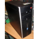 БУ компьютер HP Compaq Elite 8300 (Intel Core i3-3220 (2x3.3GHz HT) /4Gb /250Gb /ATX 320W) - Каспийск